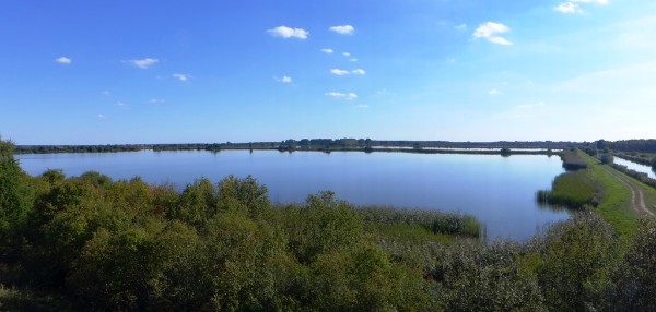 In der Lewitz bei Neustadt-Glewe erstrecken sich die Neuhöfer Karpfenteiche.